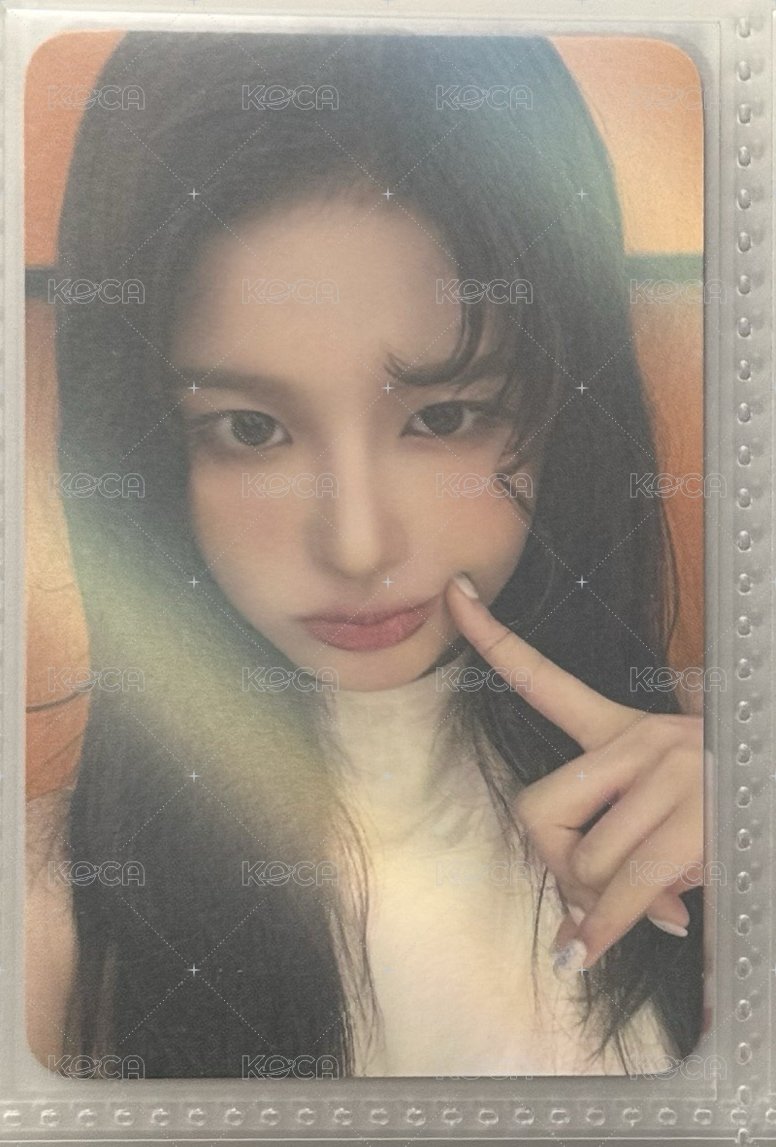 🐰ms預售