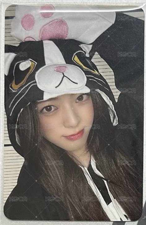 貓咪娜