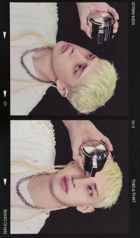 THIS & THAT 專輯卡 TRUCK ver.