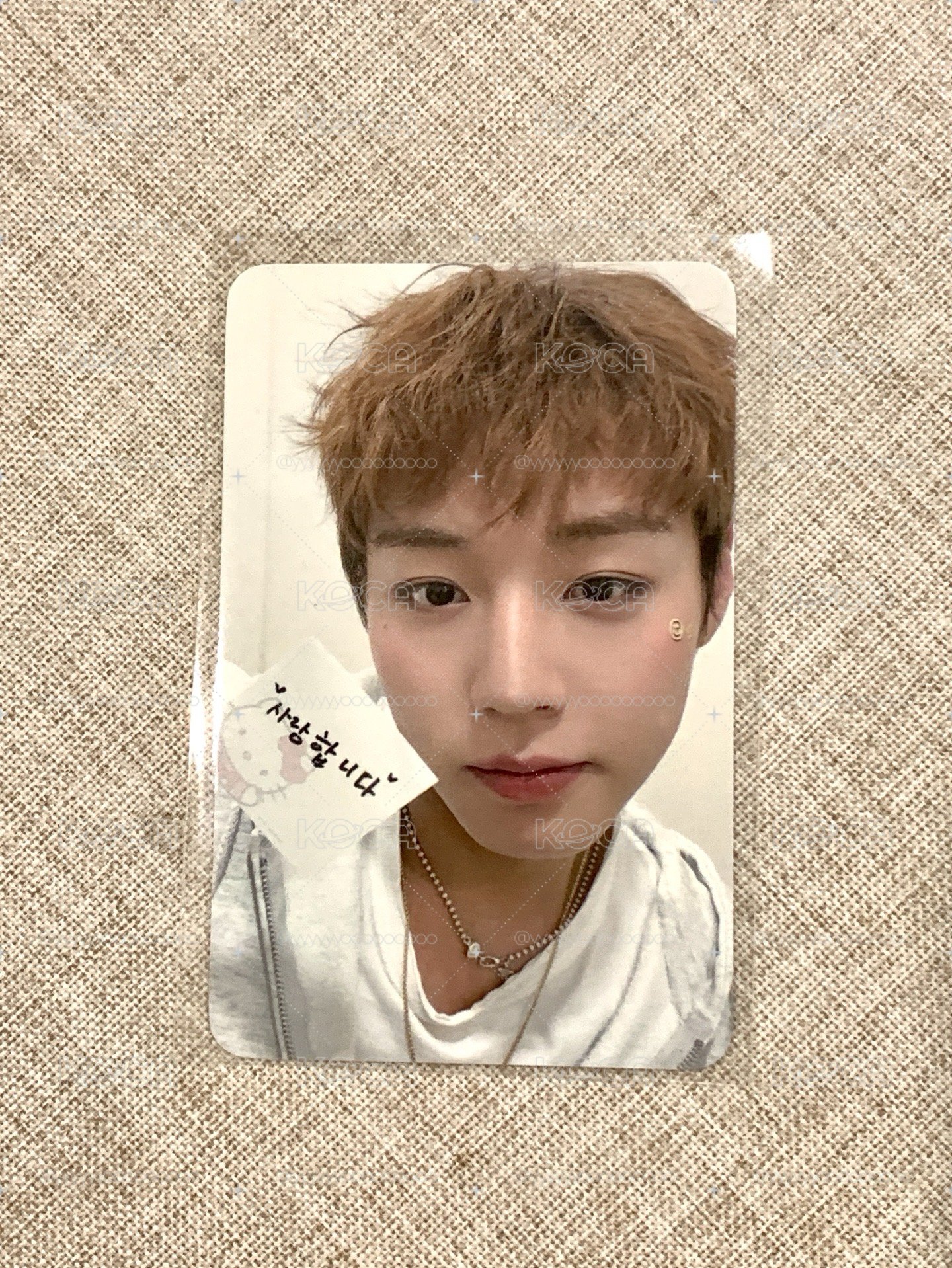朴志訓 FAN-CONCERT [RE:FLECT]OFFICIAL MD 5萬滿額卡