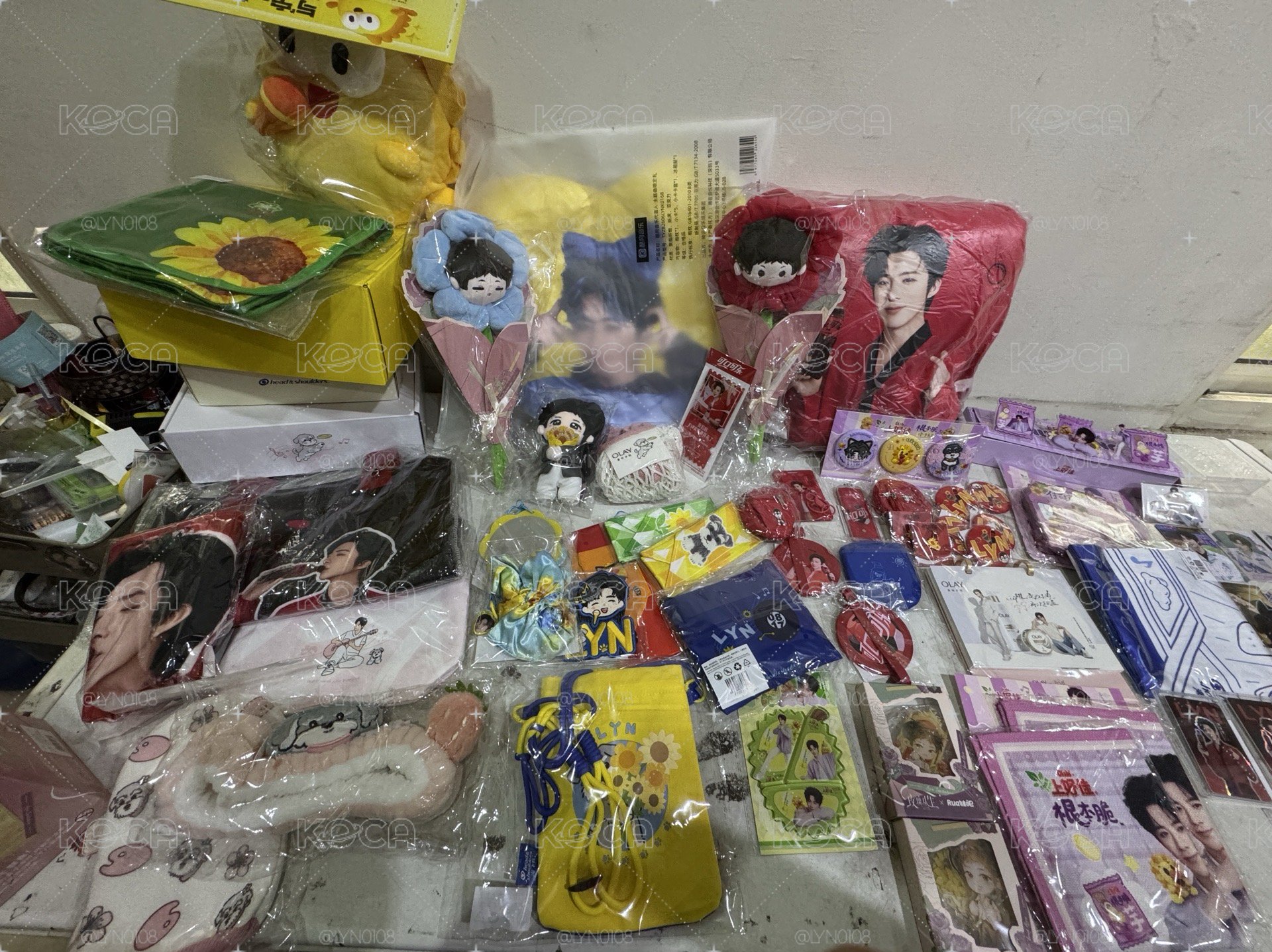 劉宇寧商務 珠簾玉幕