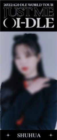 2022世巡 旗子 小旗幟
