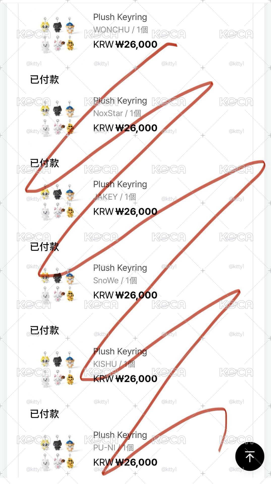 ENCHIN 原皮官娃 全員都有