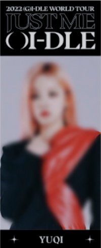 2022世巡 旗子 小旗幟