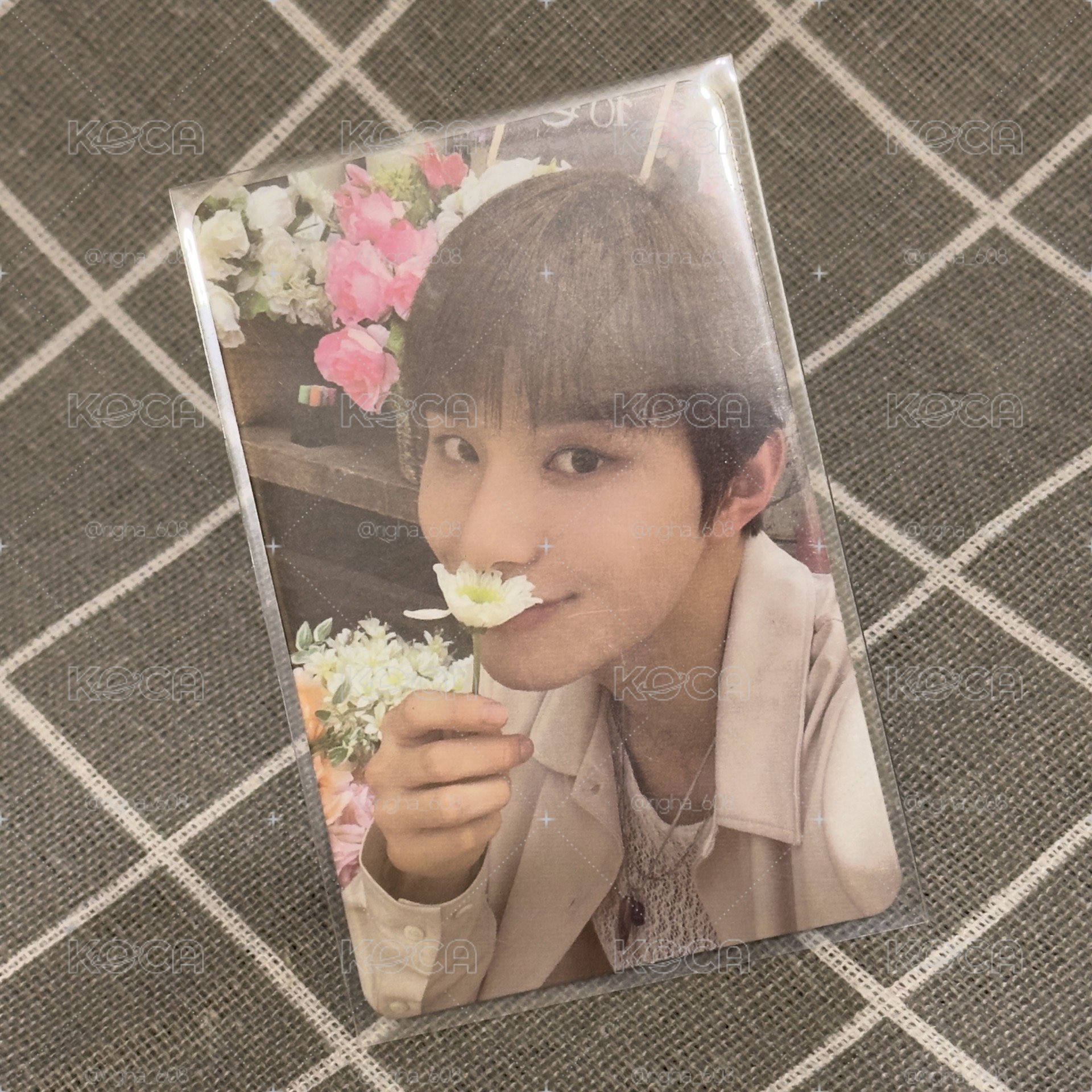 NCTDJJ 廷祐 Perfume  SMini 專卡 