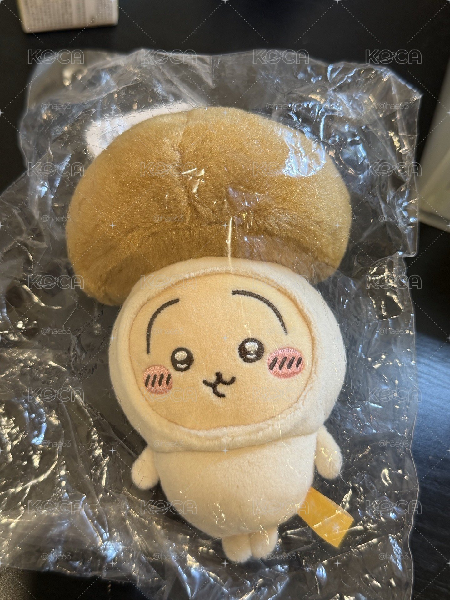 🇯🇵吉伊卡哇 烏薩奇 香菇兔兔 日版