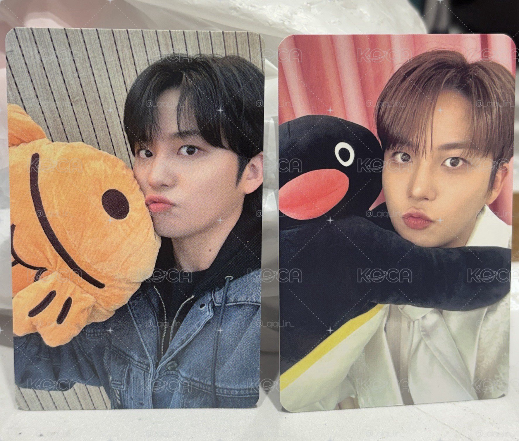 🐻特典