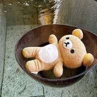 緹緹