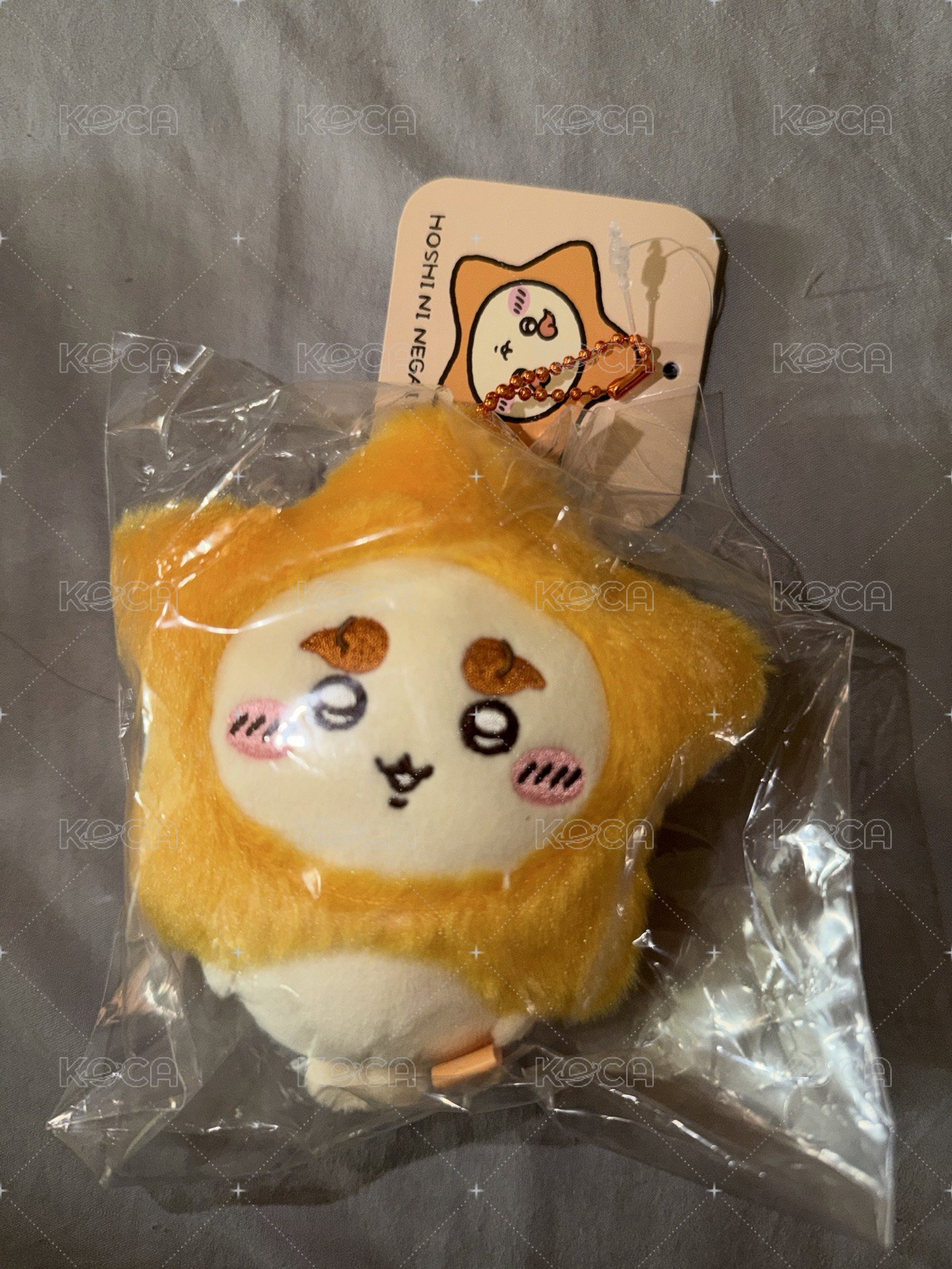 星星獅薩