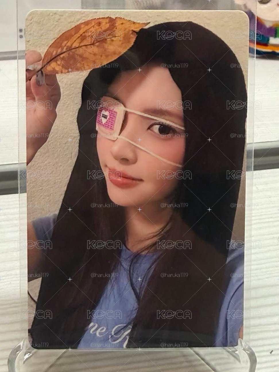 楓葉玧🍁