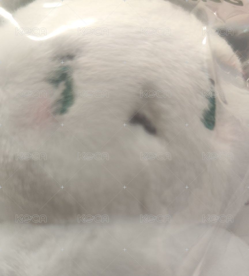 （可直出）柳河玟吊娃有原袋+送小禮物