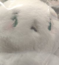 （可直出）柳河玟吊娃有原袋+送小禮物