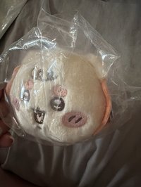 寶寶趴娃獅薩