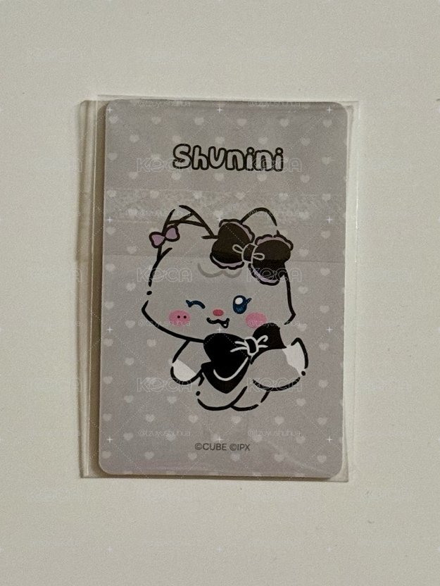shuhua 葉舒華🩶周邊娃娃小卡