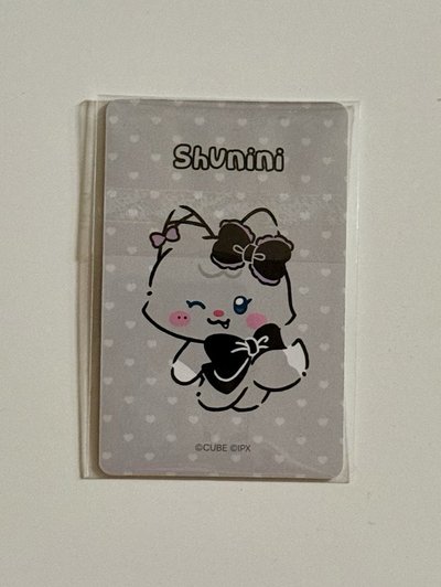 shuhua 葉舒華🩶周邊娃娃小卡