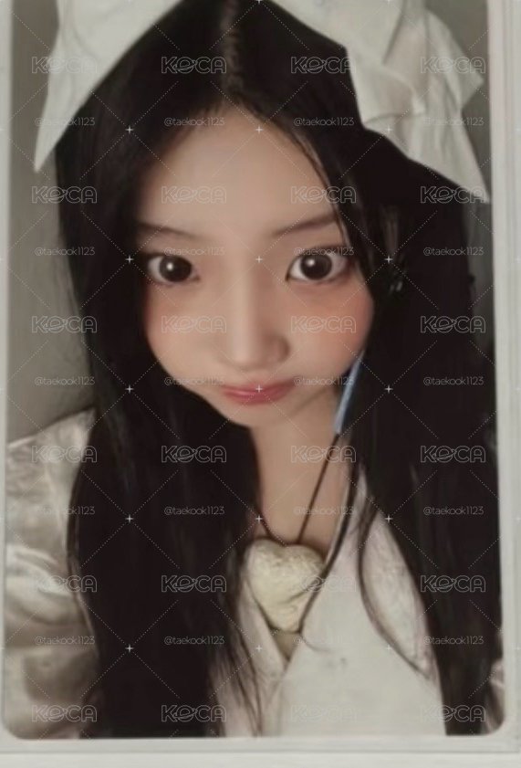 蝴蝶結禧價格已含綁