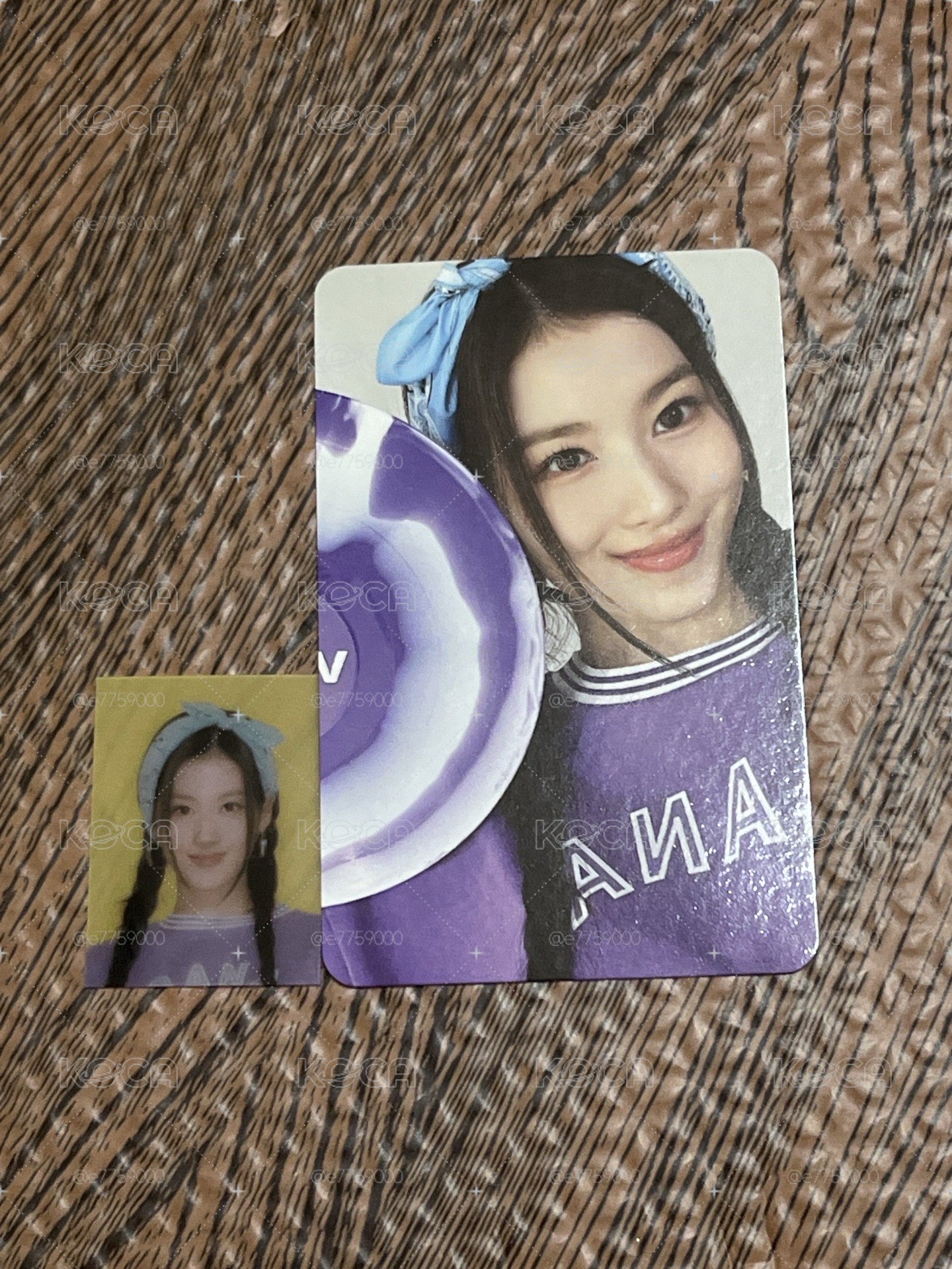 四期會員禮Sana小卡+證件照
