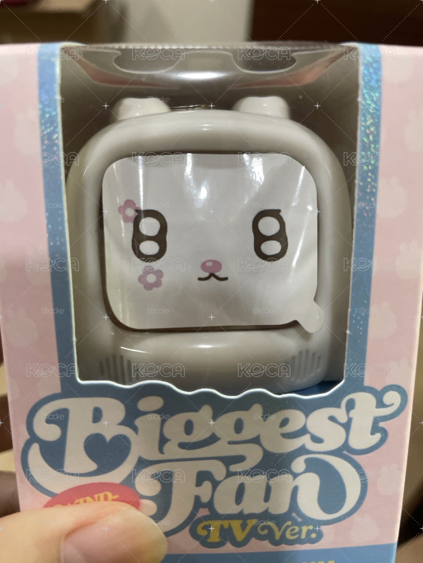 正規一電視版