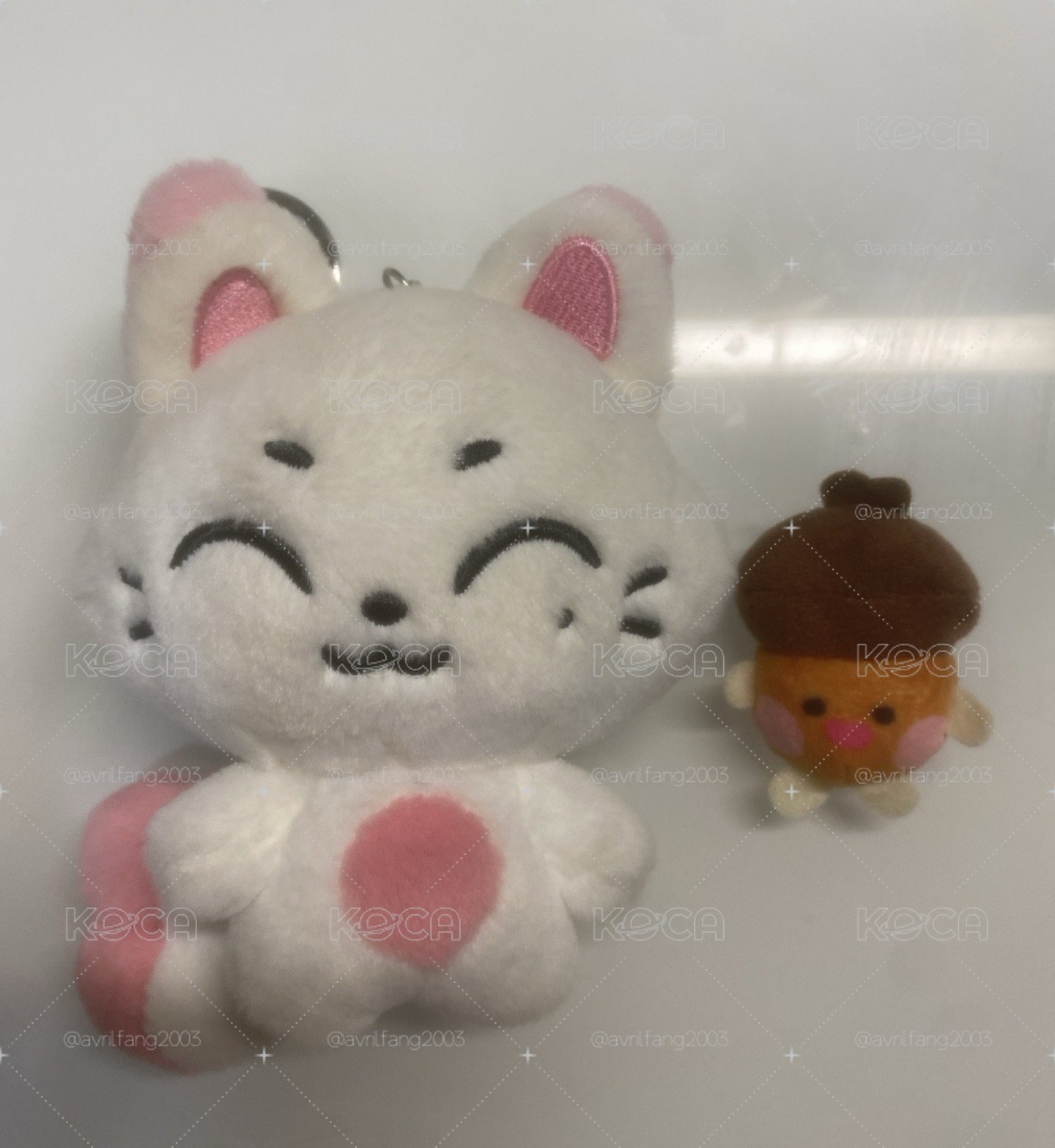 🦊KISHU