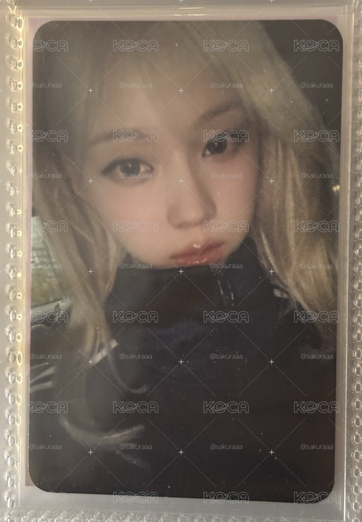 ms 簽售