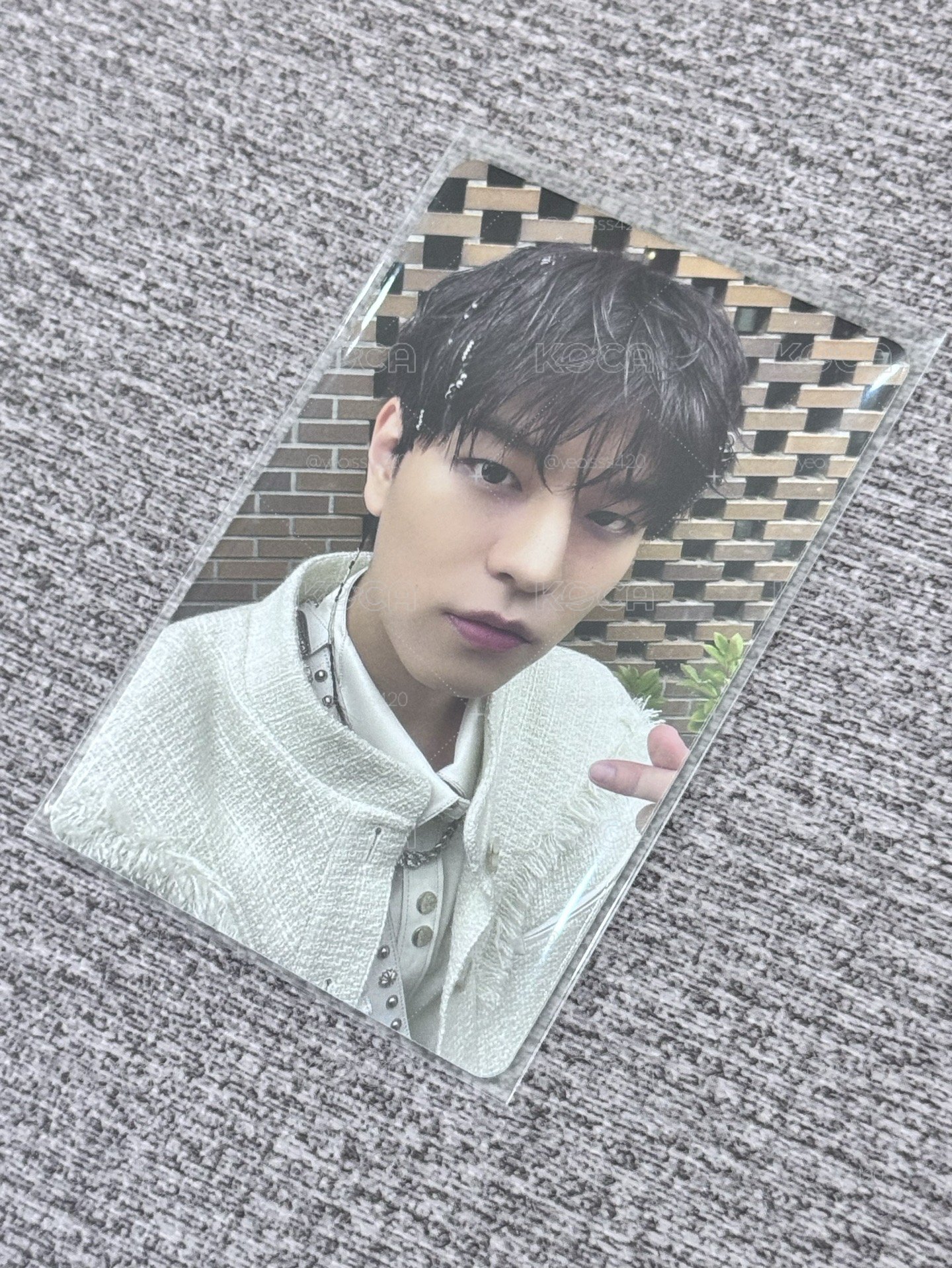 昇玟小狗狗