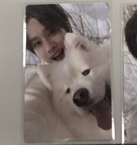 lastbell狗狗炅潣