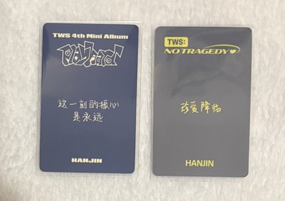 韓振中背