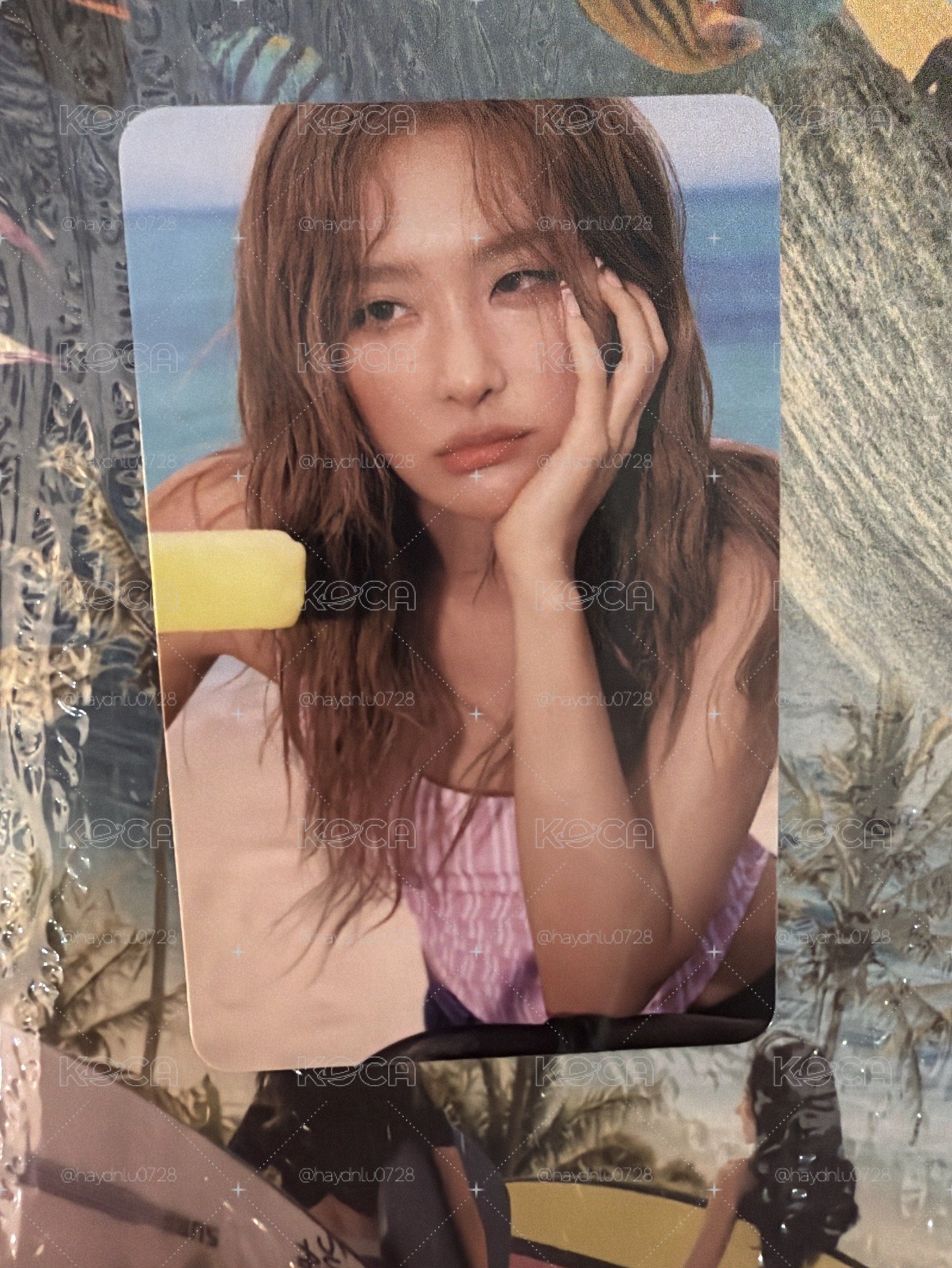 現貨當日寄出/Velvet Summer 教保文庫 特典卡 七