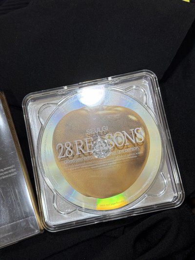 28reason case空專
