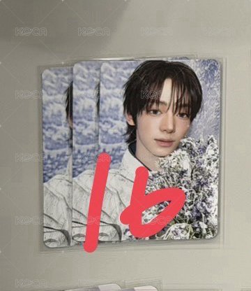 16