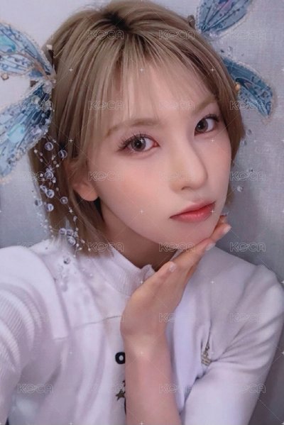 妖精裴
