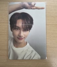 精選專 專輯卡 CARAT ver.