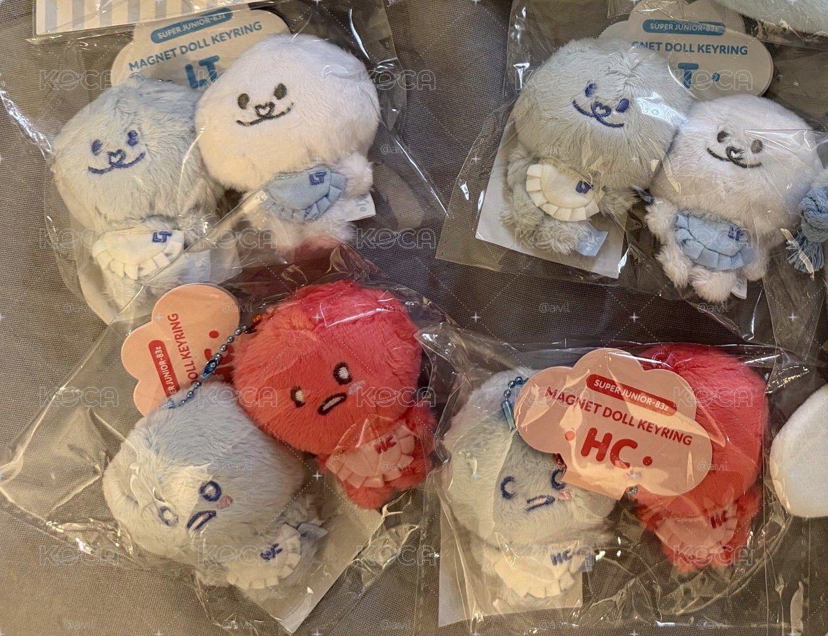 ❤️全新現貨🤍 83z 首爾場週 希澈利特磁鐵娃