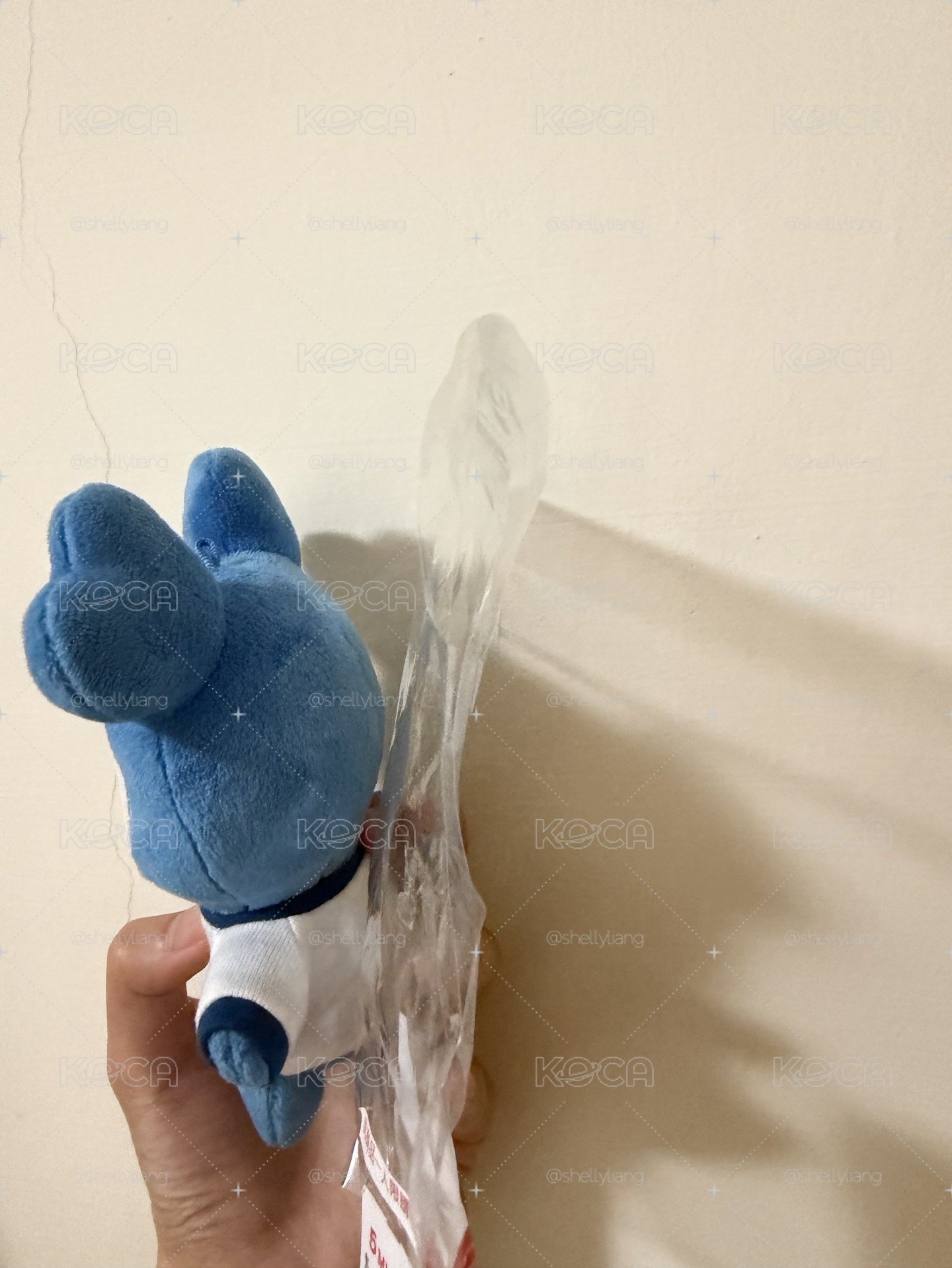 瑜十週年大娃