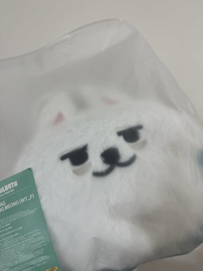 全新未使用 勇猛大頭包包
