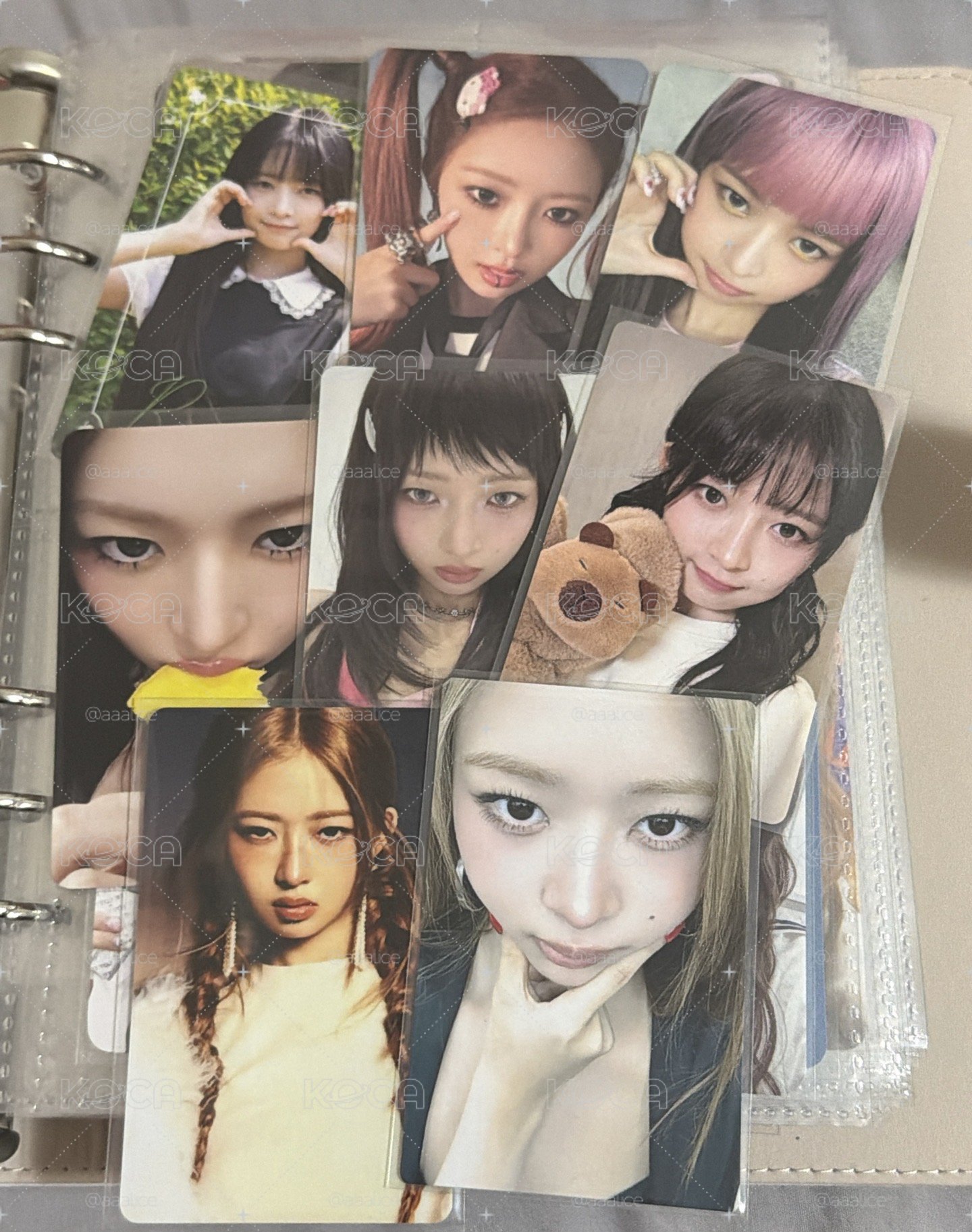 卡皮直井怜小盤