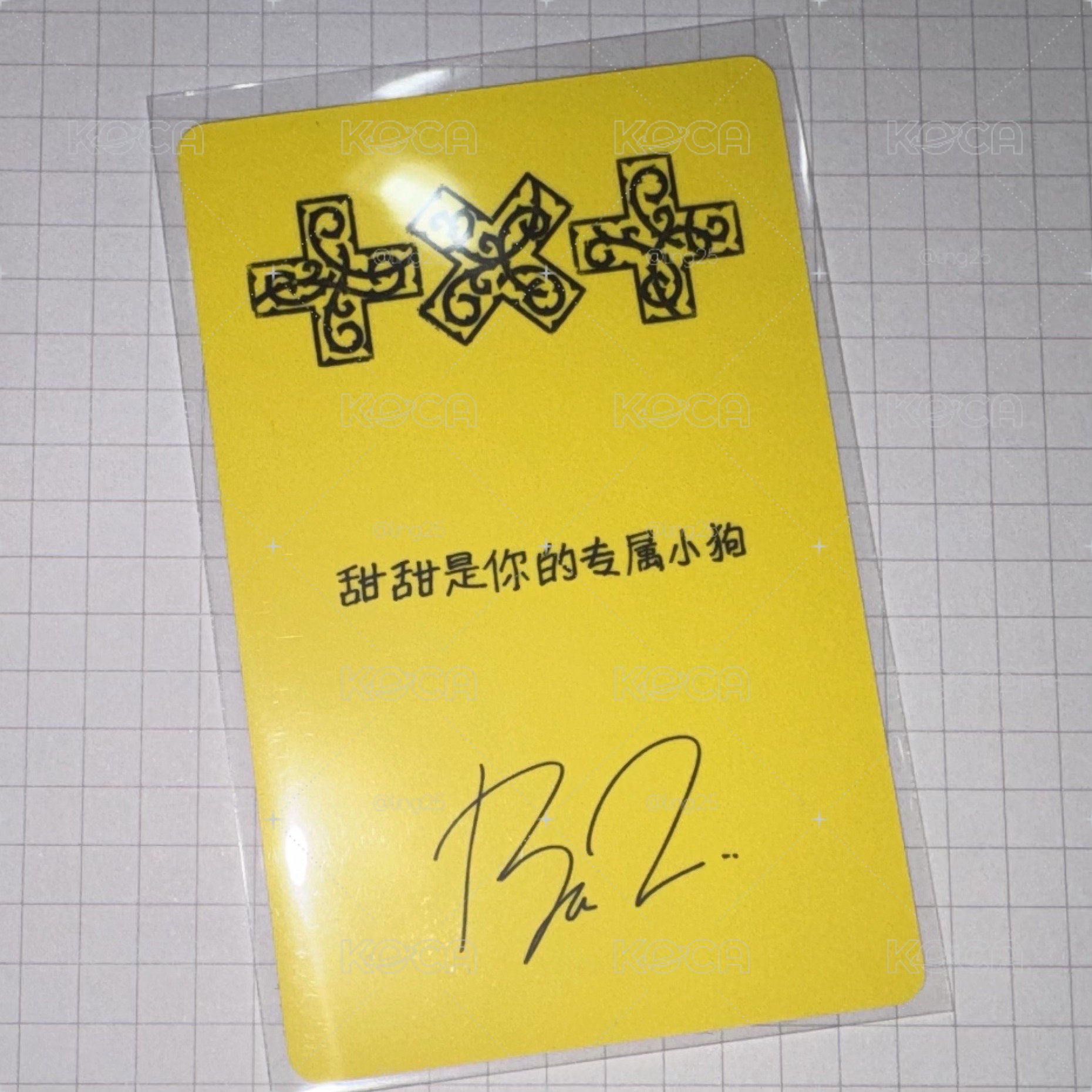 京東甜甜小狗中背