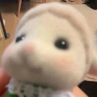 小資女賣卡員🐹
