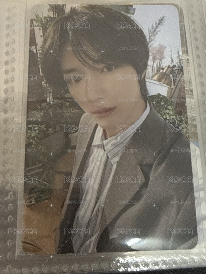 圭