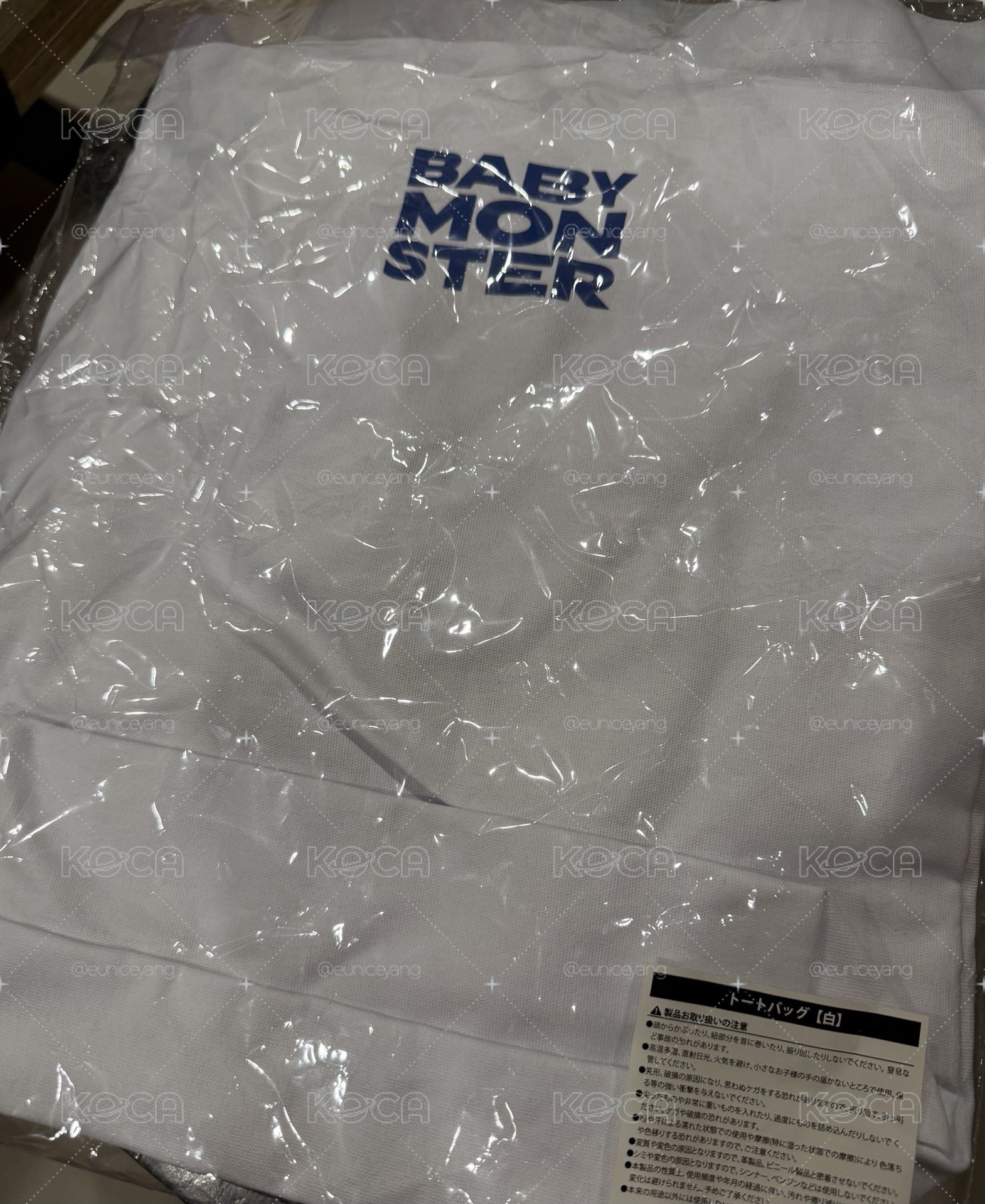 日本快閃
