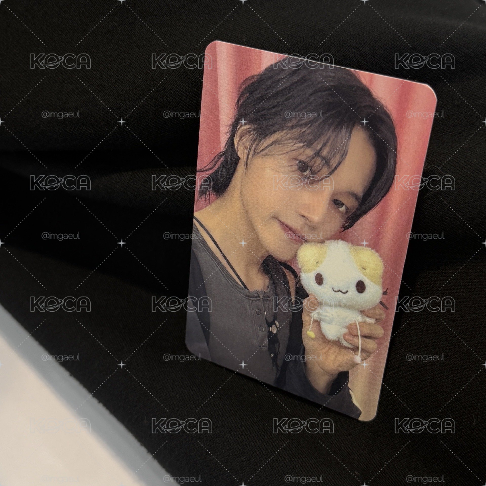 貓咪親古榮含專 🐈‍⬛