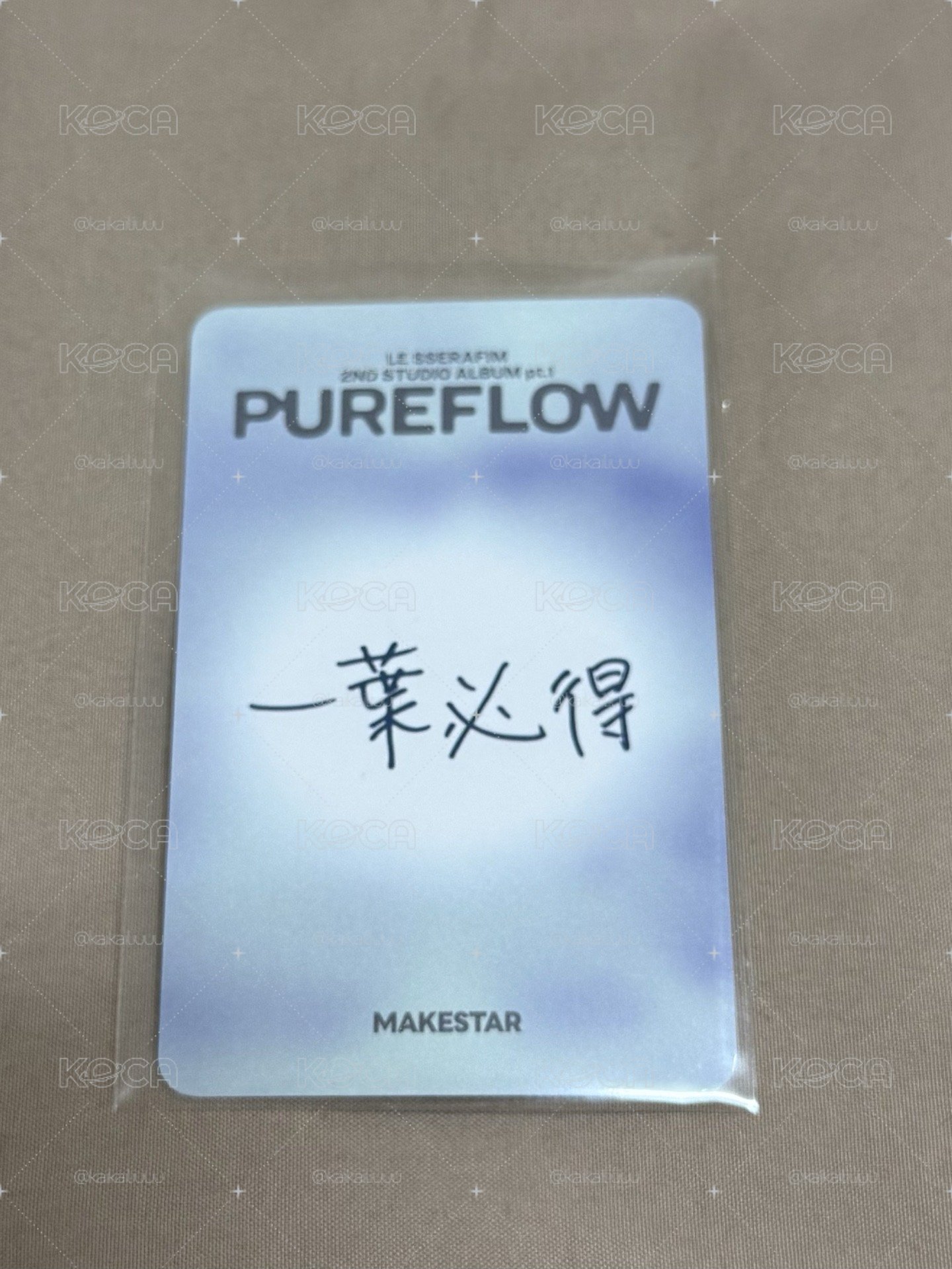 中村一葉MS台北簽售卡 中背