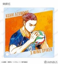 立牌 Haikyuu!! Trading Ani-Art Vol.2 Mini Shikishi 9Pac