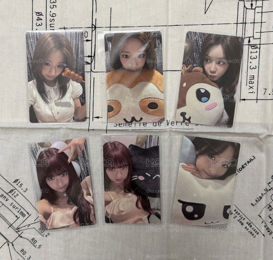 Wvs早鳥特典