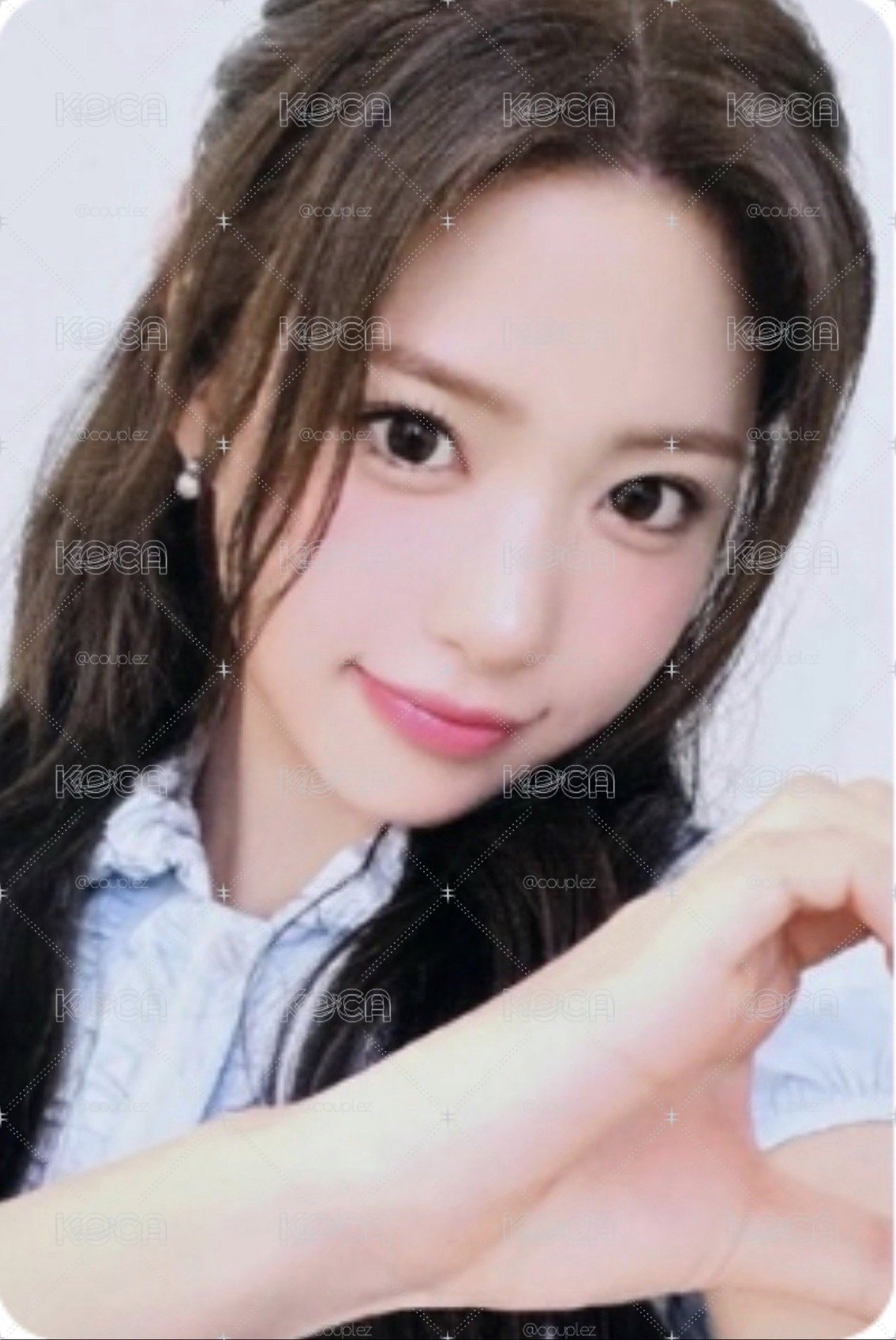 zena專卡