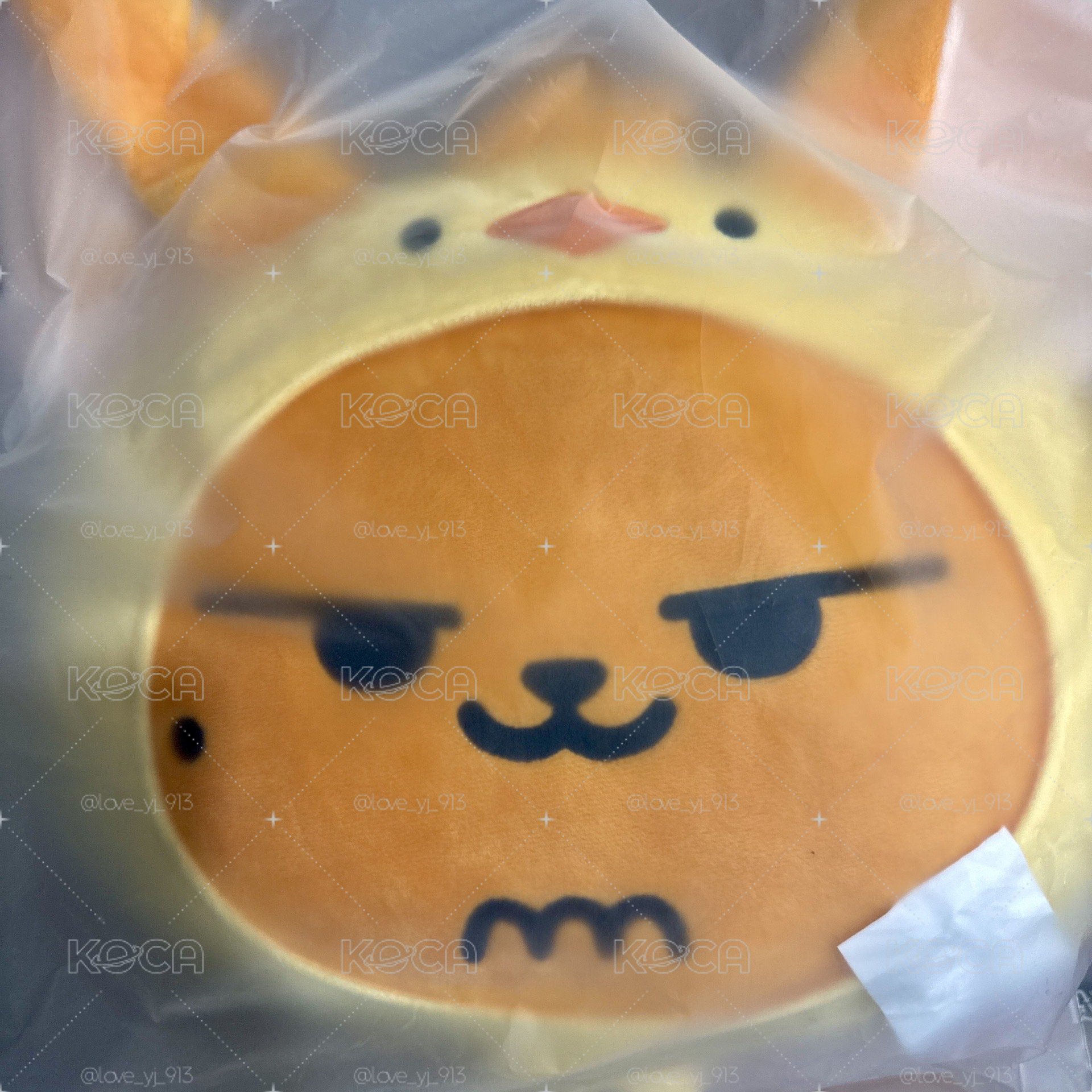現貨 原皮抱枕 黃春 TXT 迷八 CUSHION OF THORNS Ver. 十字絨毛抱枕軟墊專輯 全新未拆