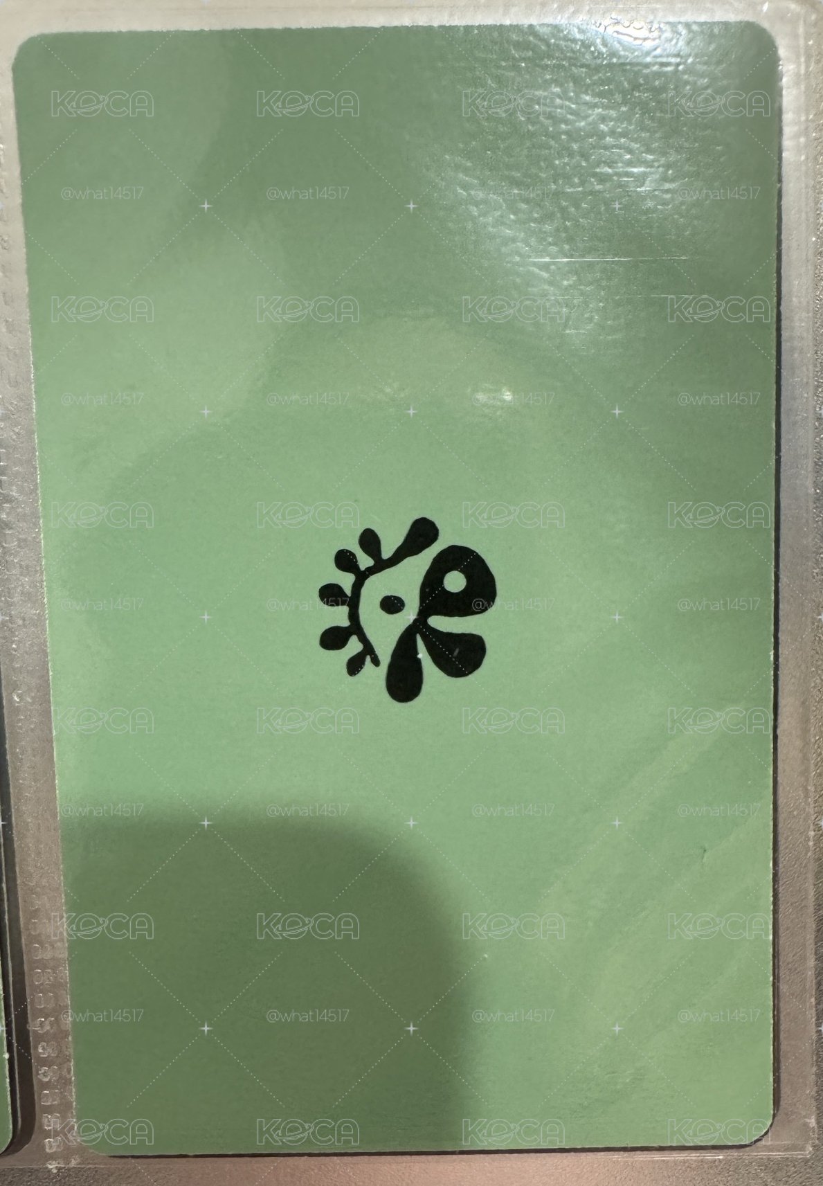 迷二黑膠卡-訓凡馬一起走