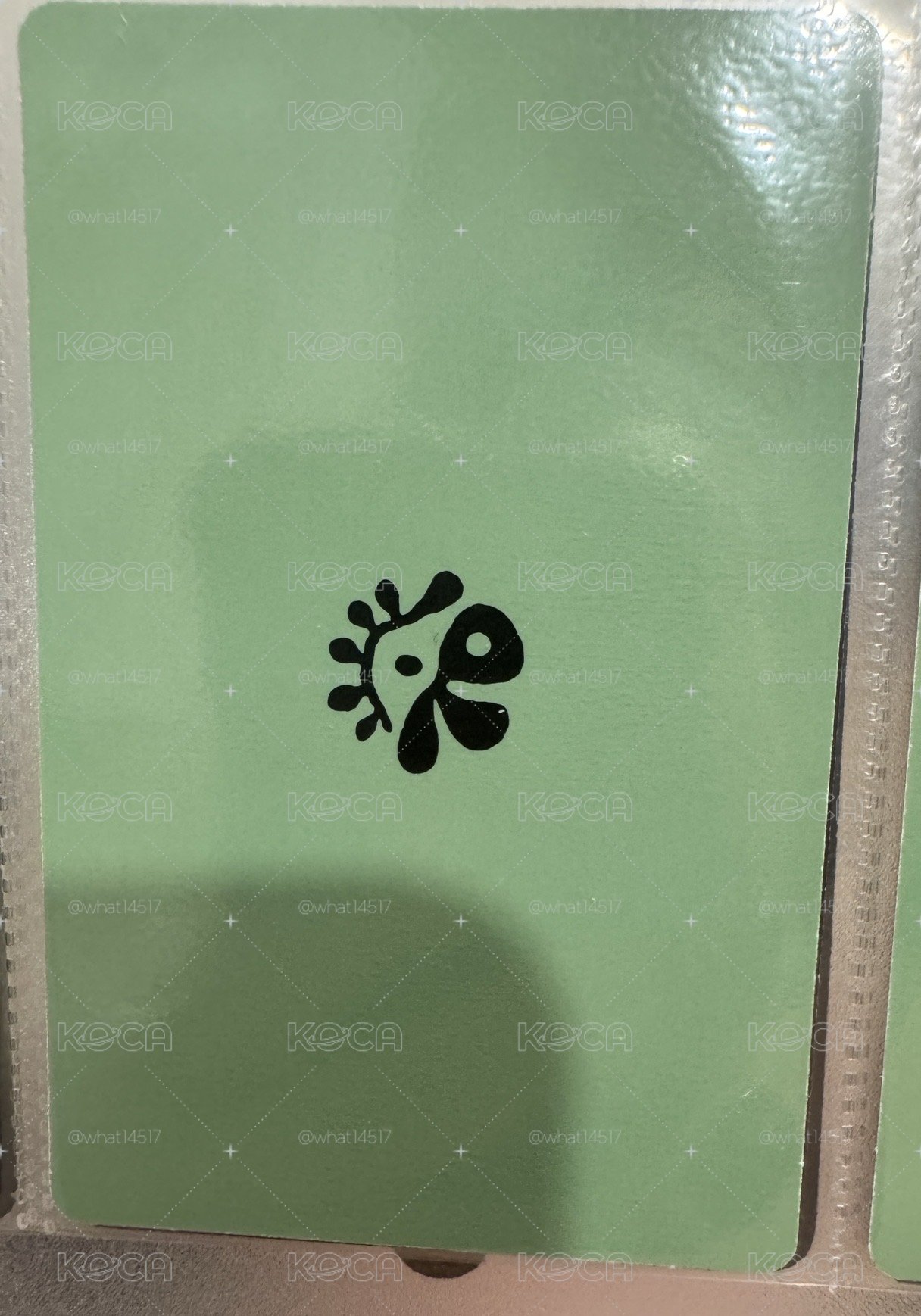迷二黑膠卡-訓凡馬一起走
