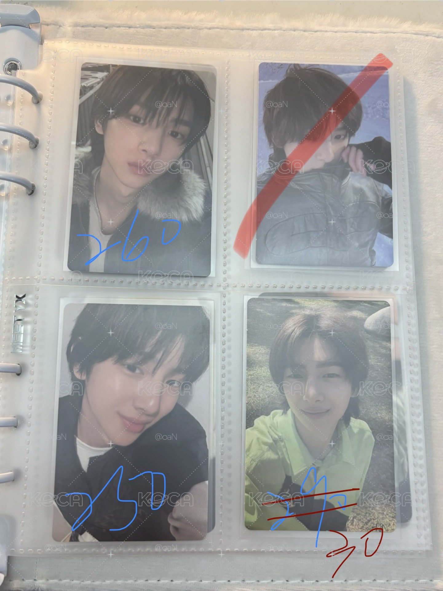 🐽主訓小盤