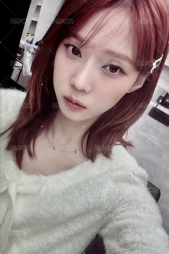 白茶冬